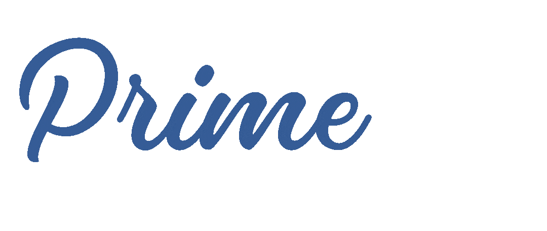 PrimeX Logo